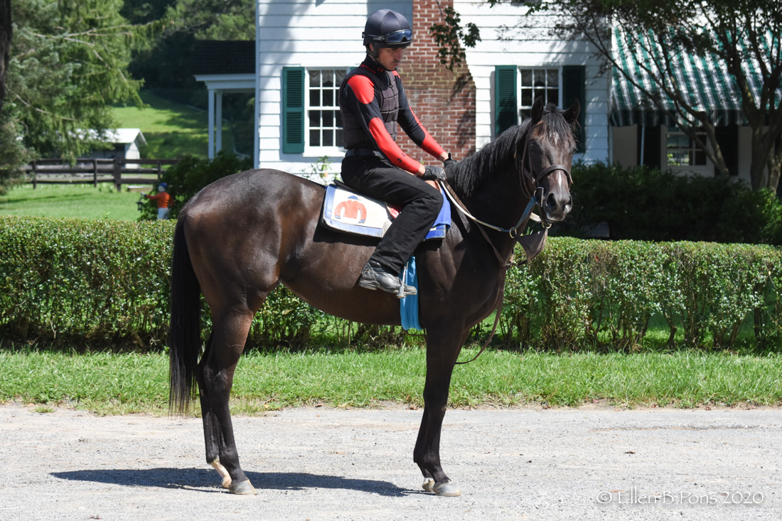 Sunshineanrainbows Country Life and Merryland Farms