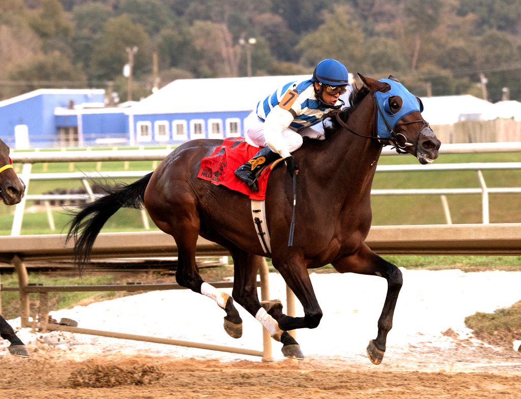 Saratoga Bob wins MD Million Classic