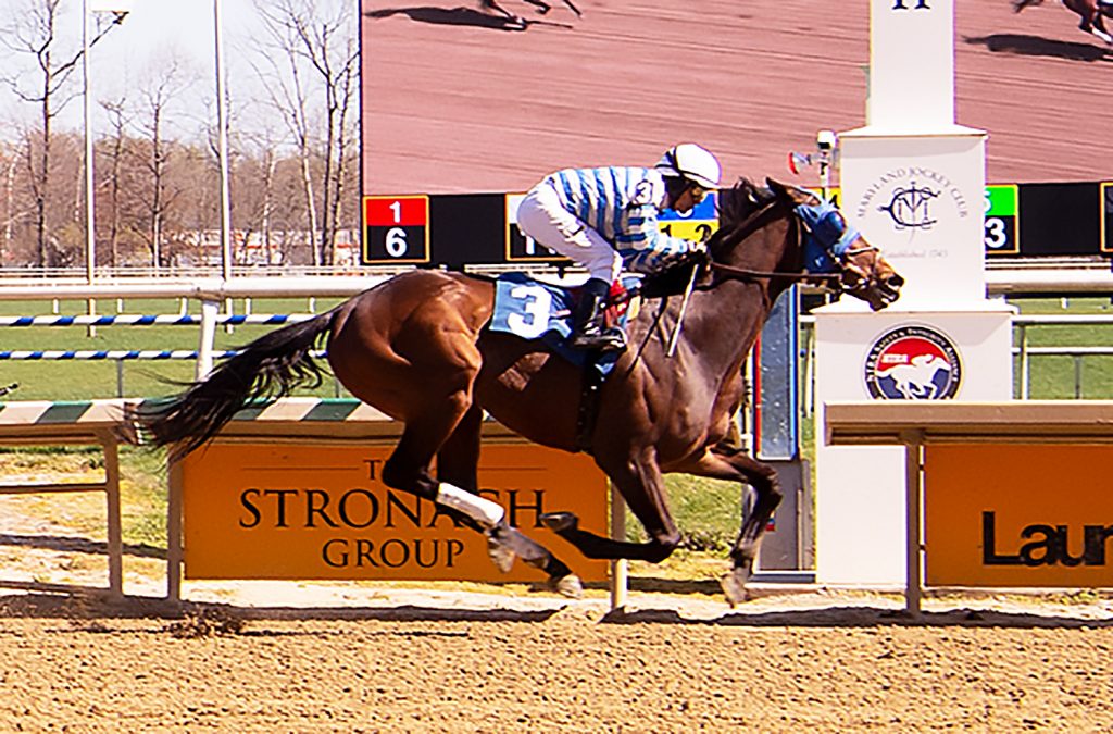 Saratoga Bob maiden win