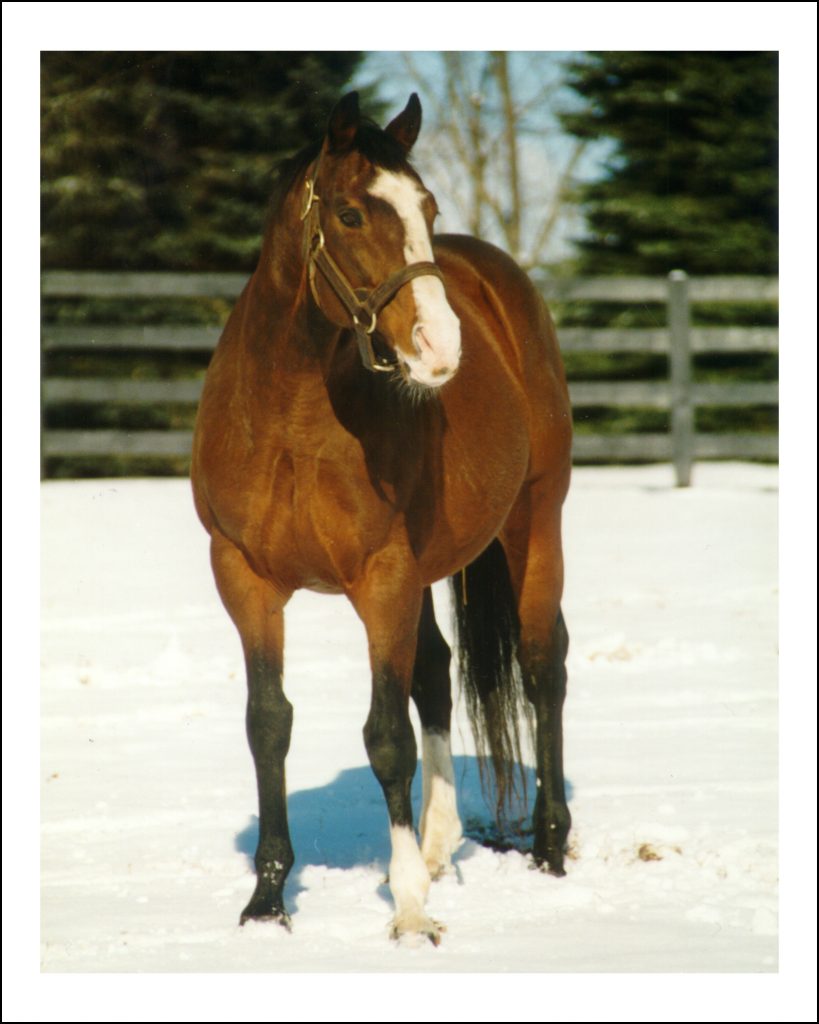 Carnivalay had a distinctive face. a clownish personality and a loyal fan club.