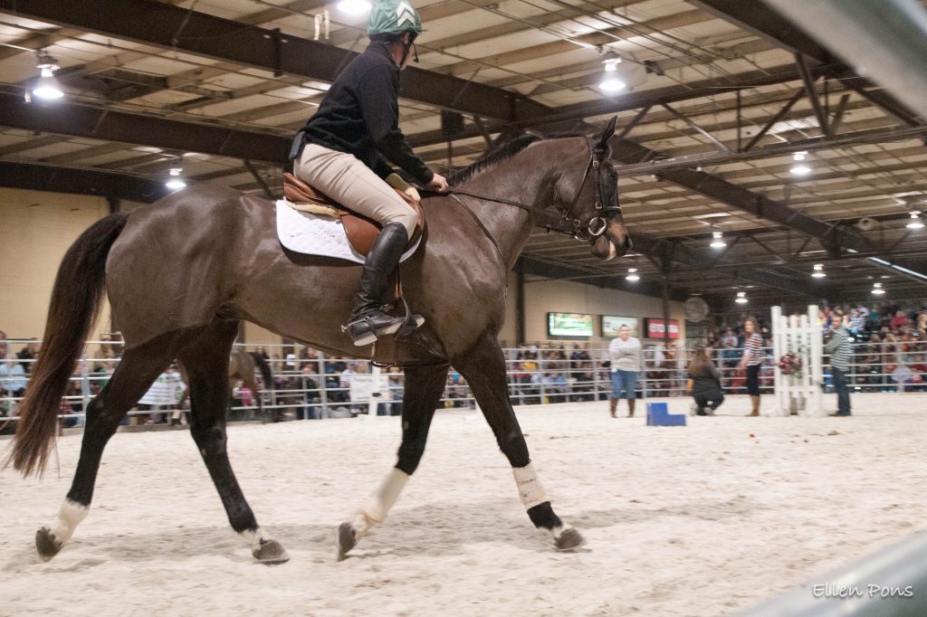 Declan's Moon retired to Country Life and came out of retirement for the first thoroughbred Makeover under saddle here with Stuart Pittman. 