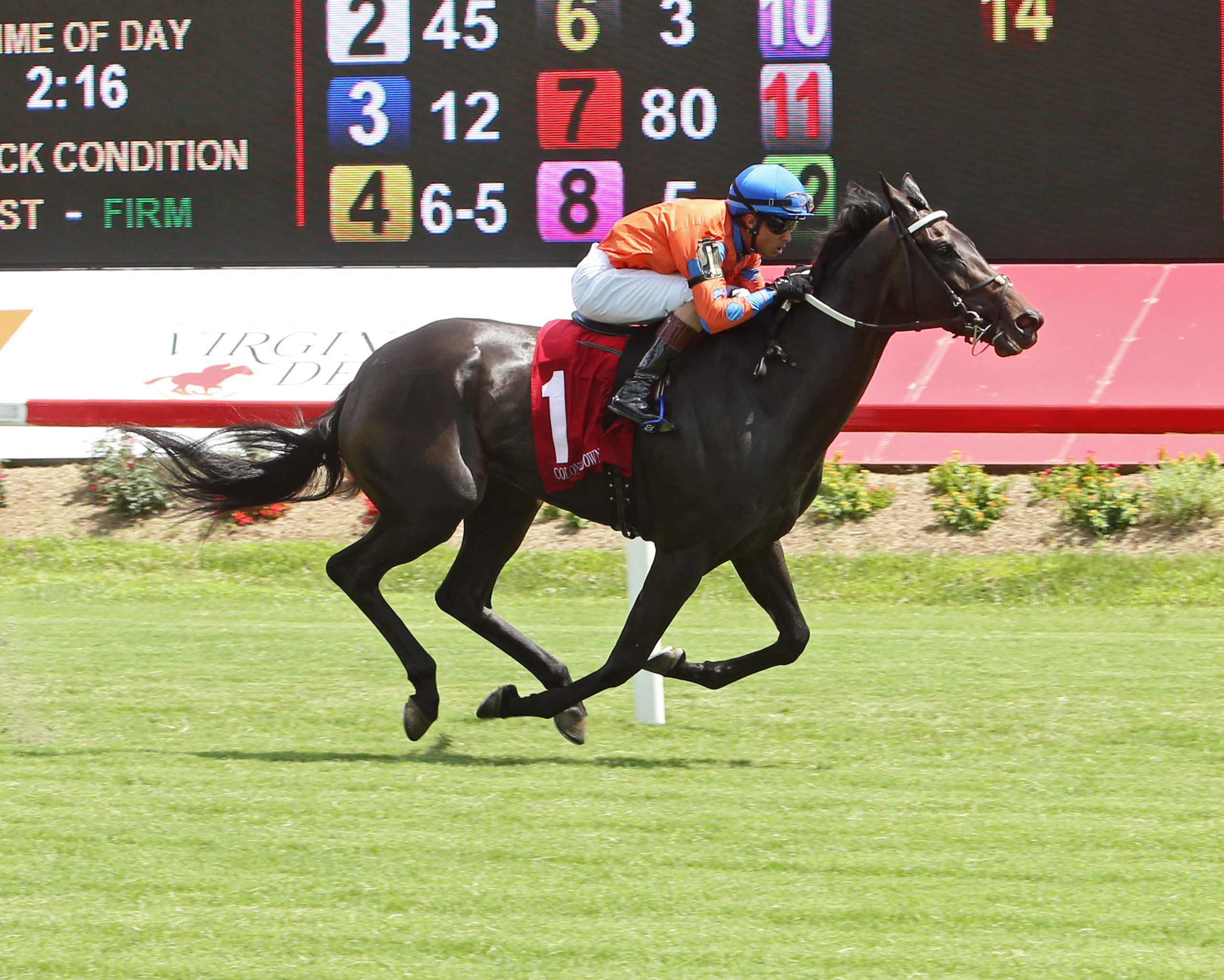 Country Life and Merryland Farms – From Beginning to Winning